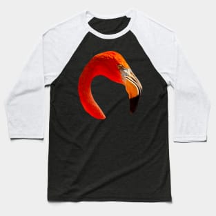 Graceful Flamingo Baseball T-Shirt